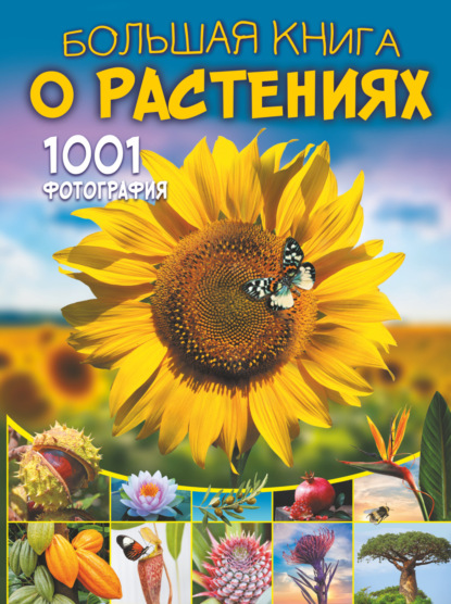 Скачать Большая книга о растениях. 1001 фотография - А. А. Спектор