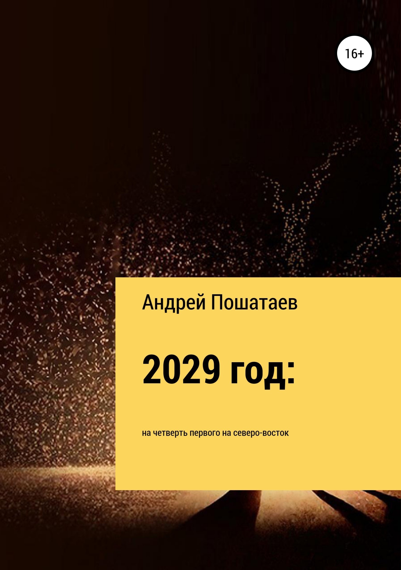 Скачать 2029 год: на четверть первого на северо-восток - Андрей Анатольевич Пошатаев