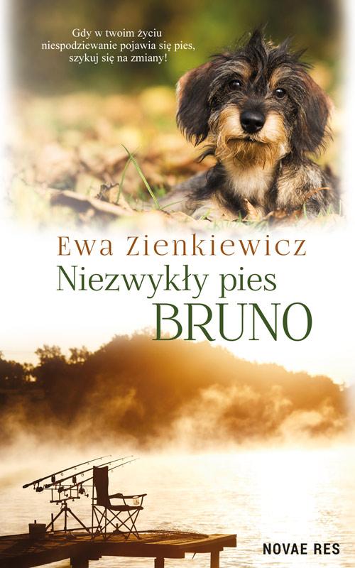 Скачать Niezwykły pies Bruno - Ewa Zienkiewicz