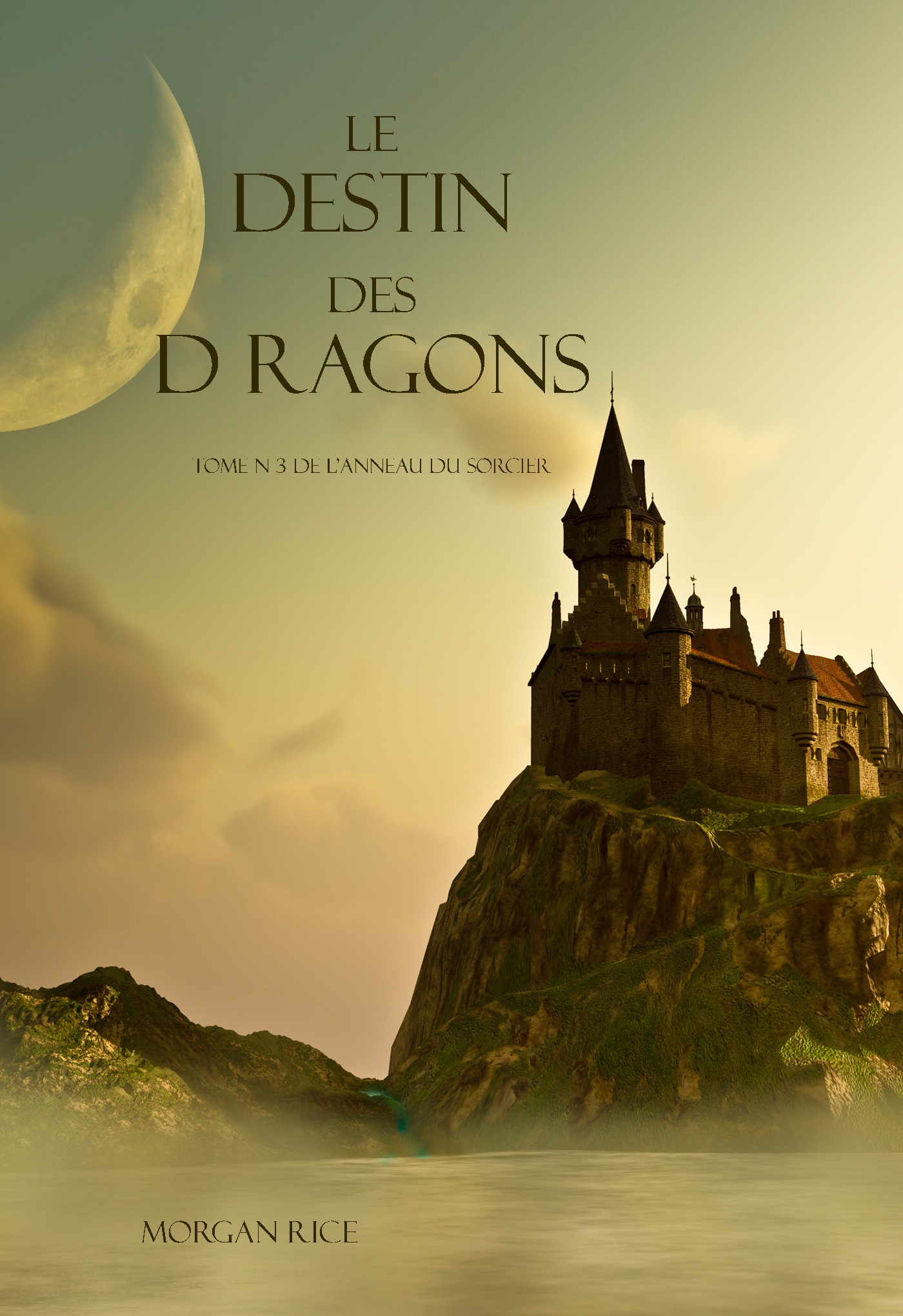 Скачать Le Destin Des Dragons  - Морган Райс