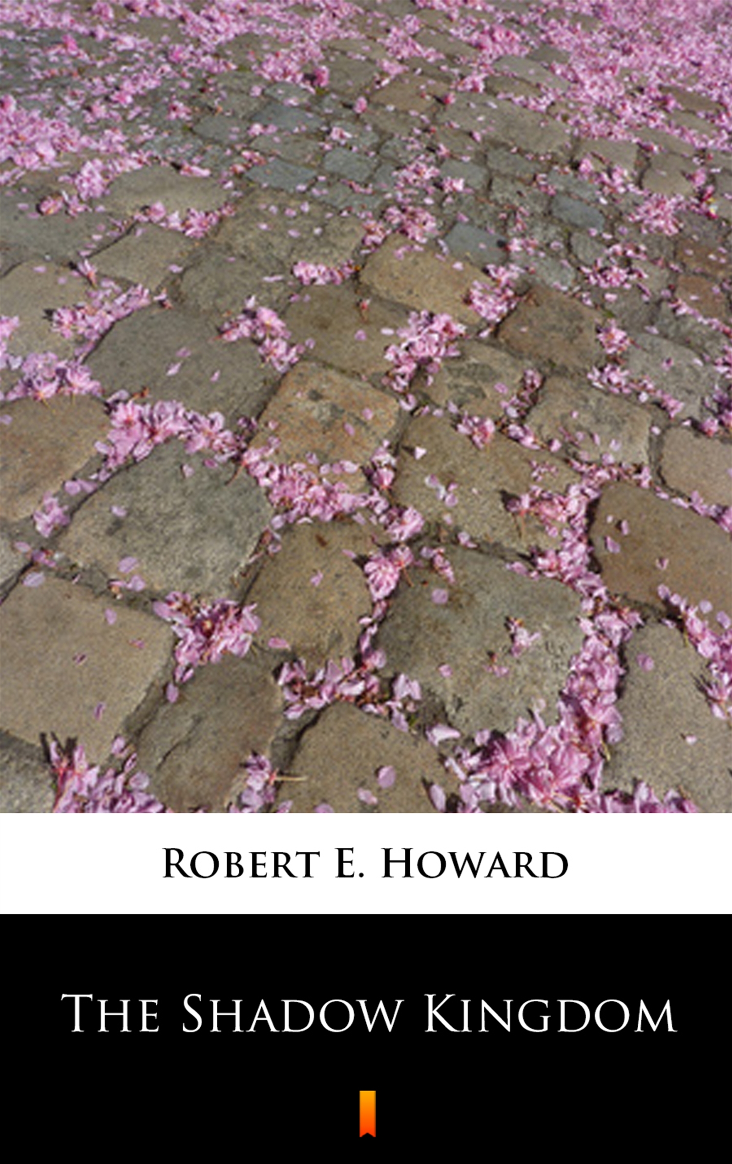 Скачать The Shadow Kingdom - Robert E.  Howard