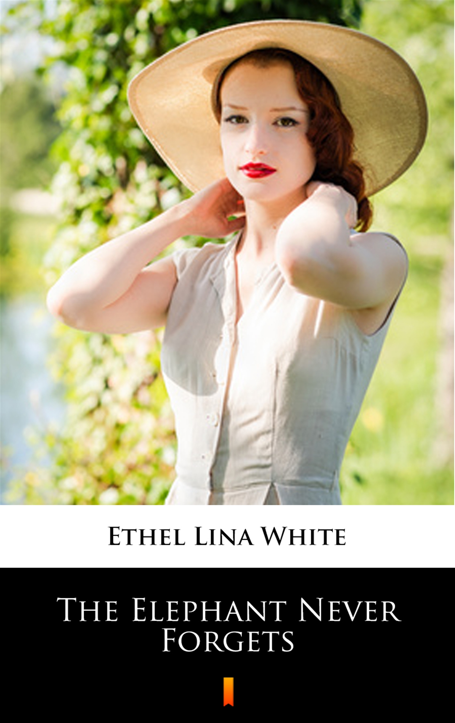 Скачать The Elephant Never Forgets - Ethel Lina  White