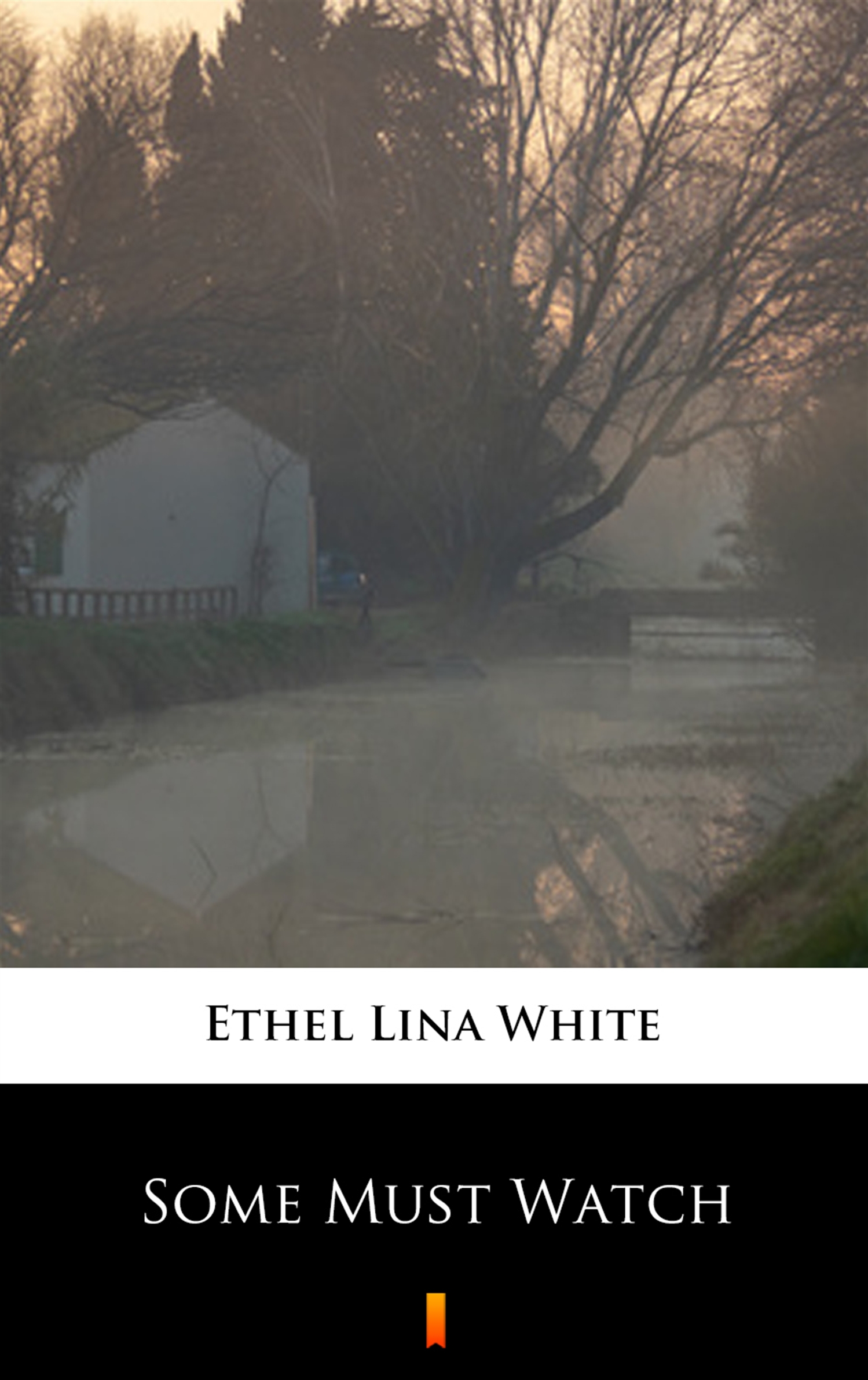 Скачать Some Must Watch - Ethel Lina  White