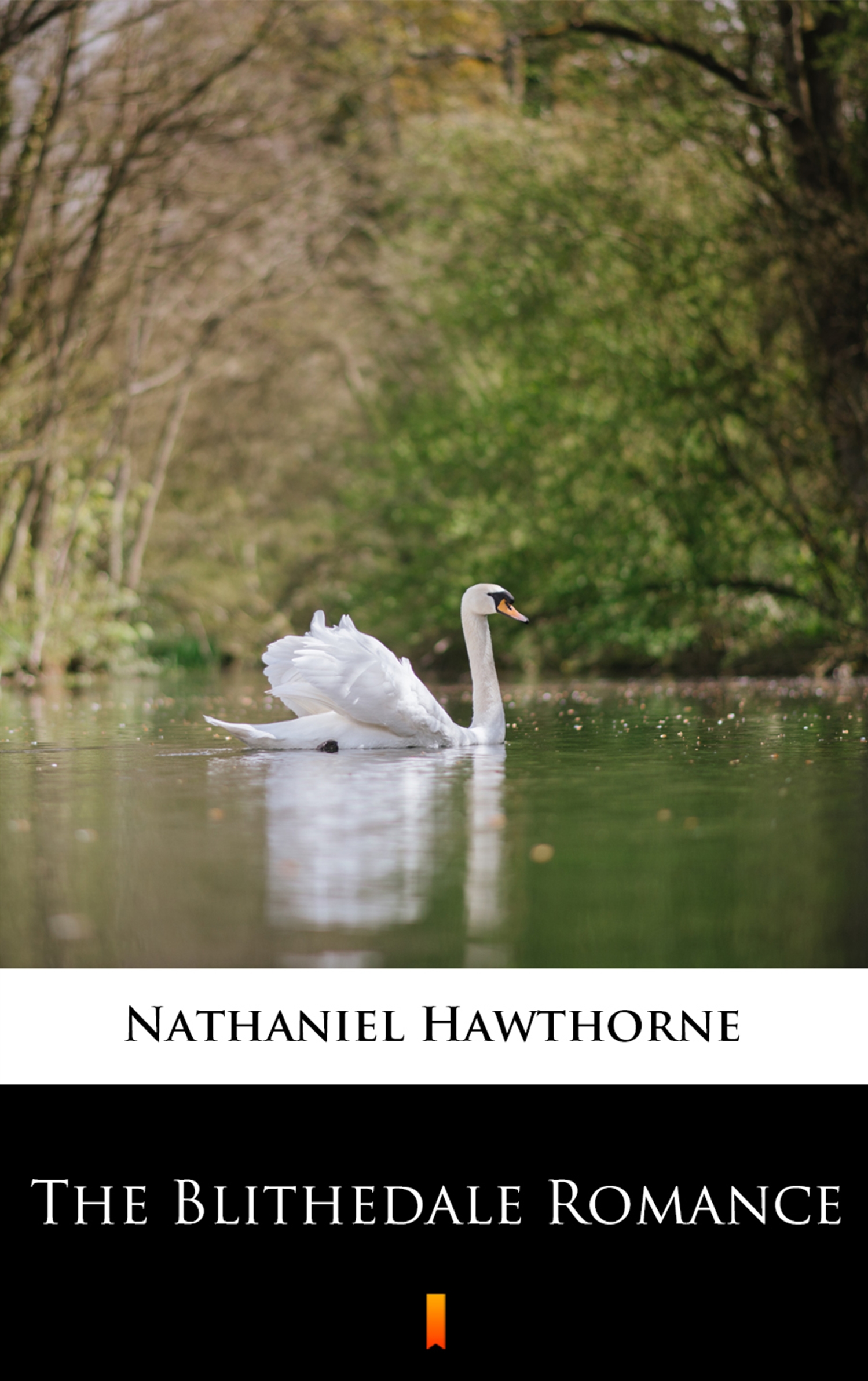 Скачать The Blithedale Romance - Hawthorne Nathaniel