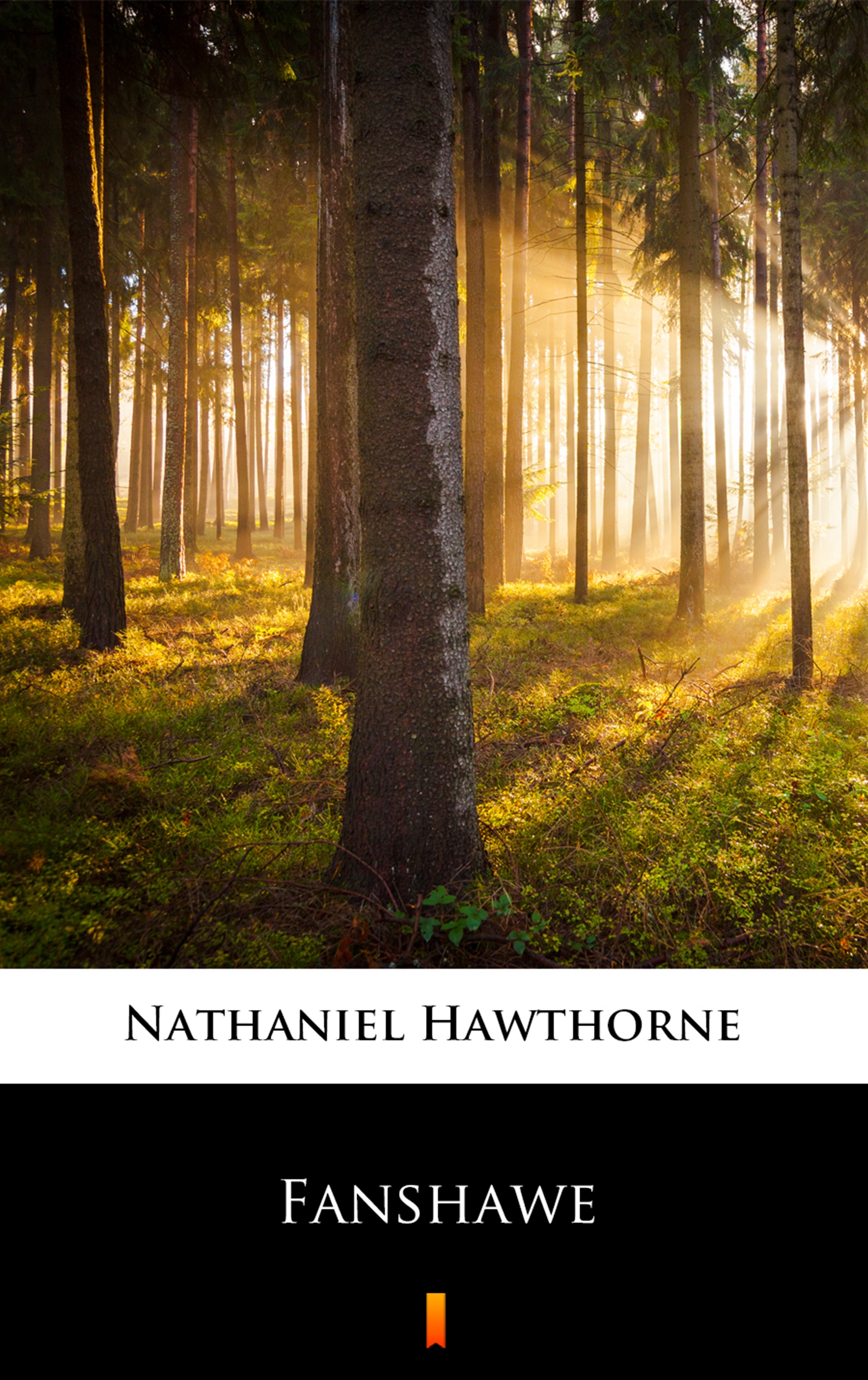 Скачать Fanshawe - Hawthorne Nathaniel