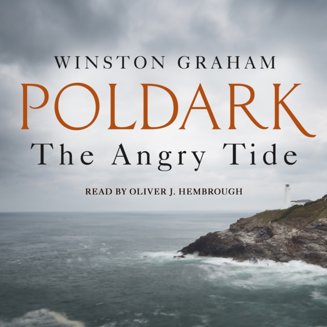 Скачать Angry Tide - Winston Graham