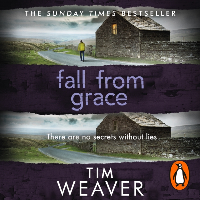 Скачать Fall From Grace - Tim Weaver