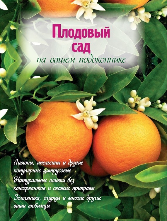 Скачать Плодовый сад на вашем подоконнике - Наталья Власова