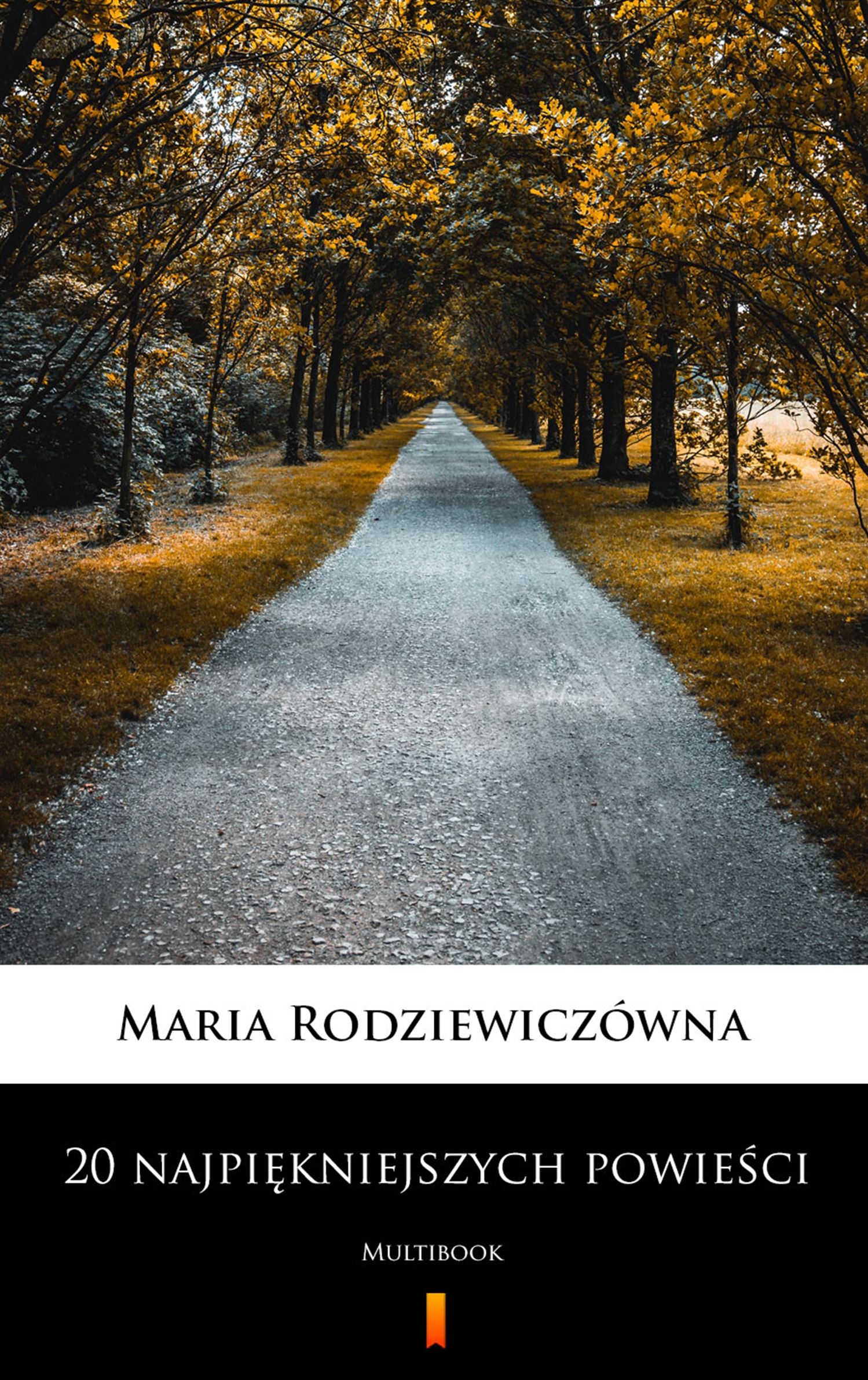Скачать 20 najpiękniejszych powieści - Maria Rodziewiczówna