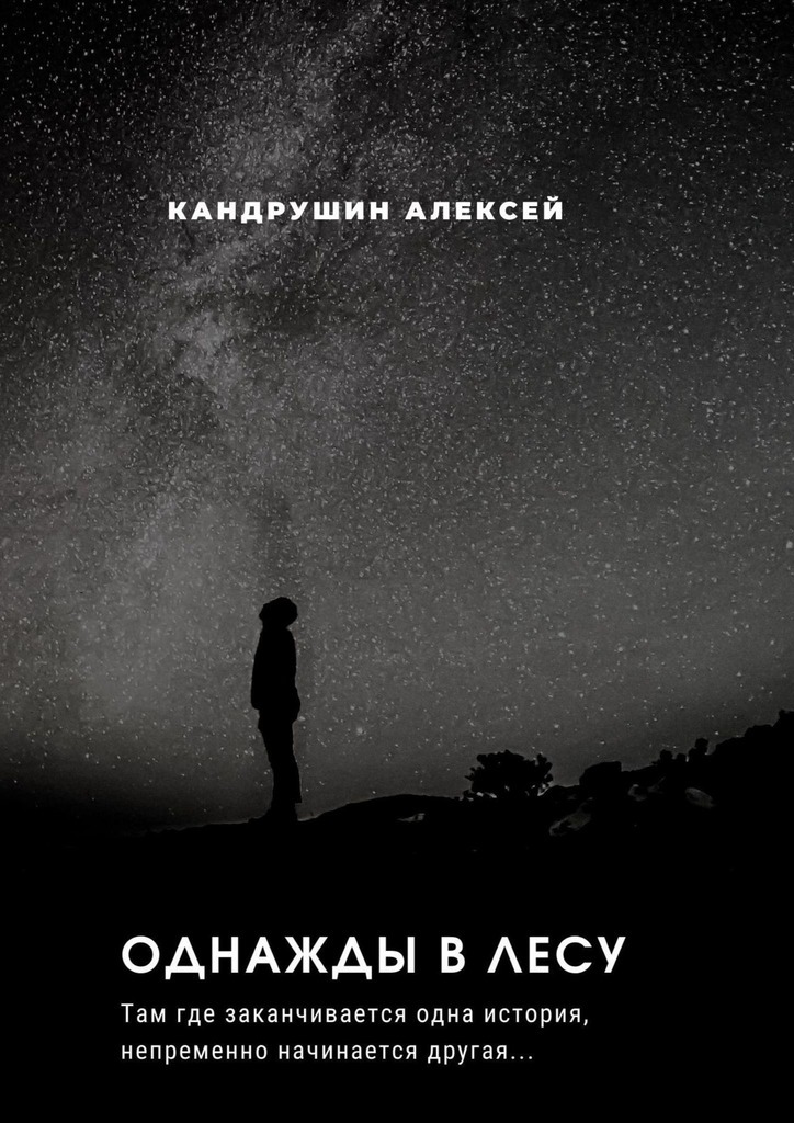 Скачать Однажды в лесу. Там где начинается одна история, непременно начинается другая… - Алексей Андреевич Кандрушин