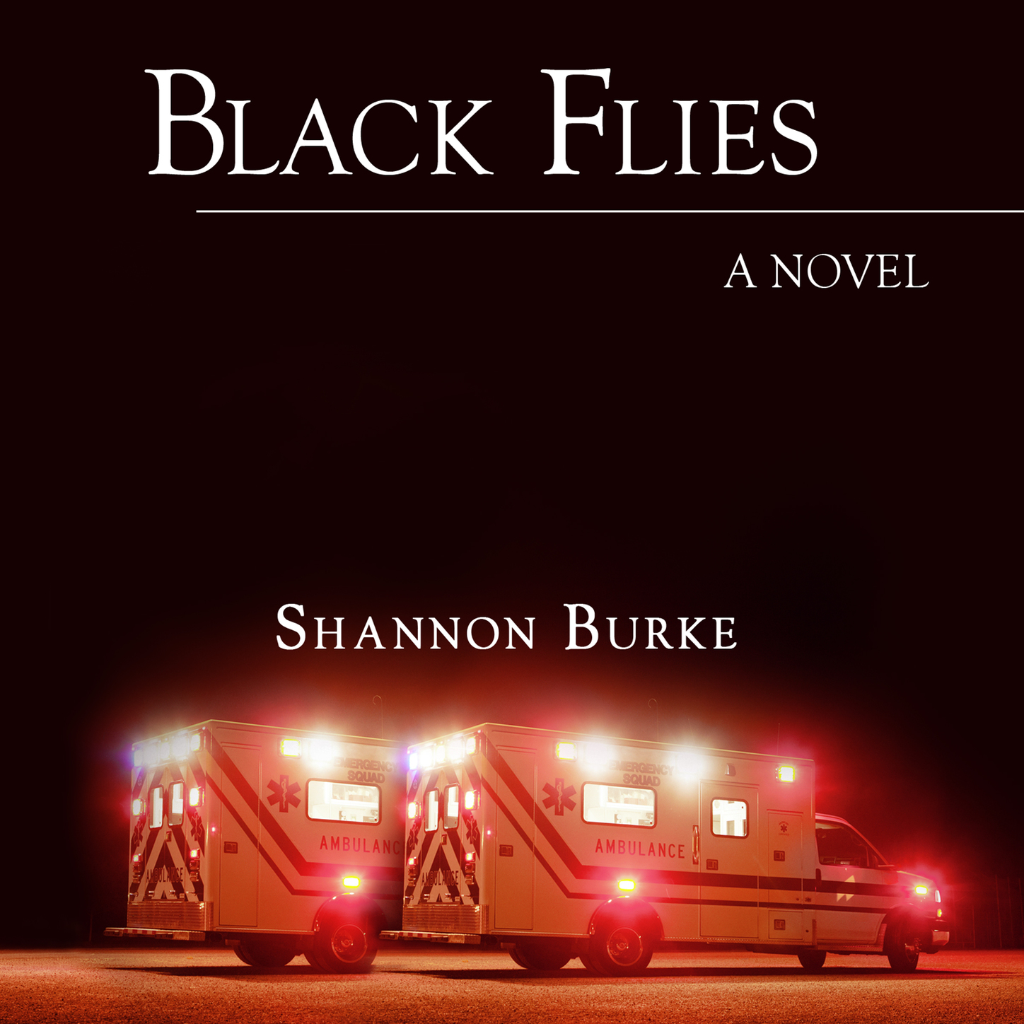Скачать Black Flies (Unabridged) - Shannon  Burke