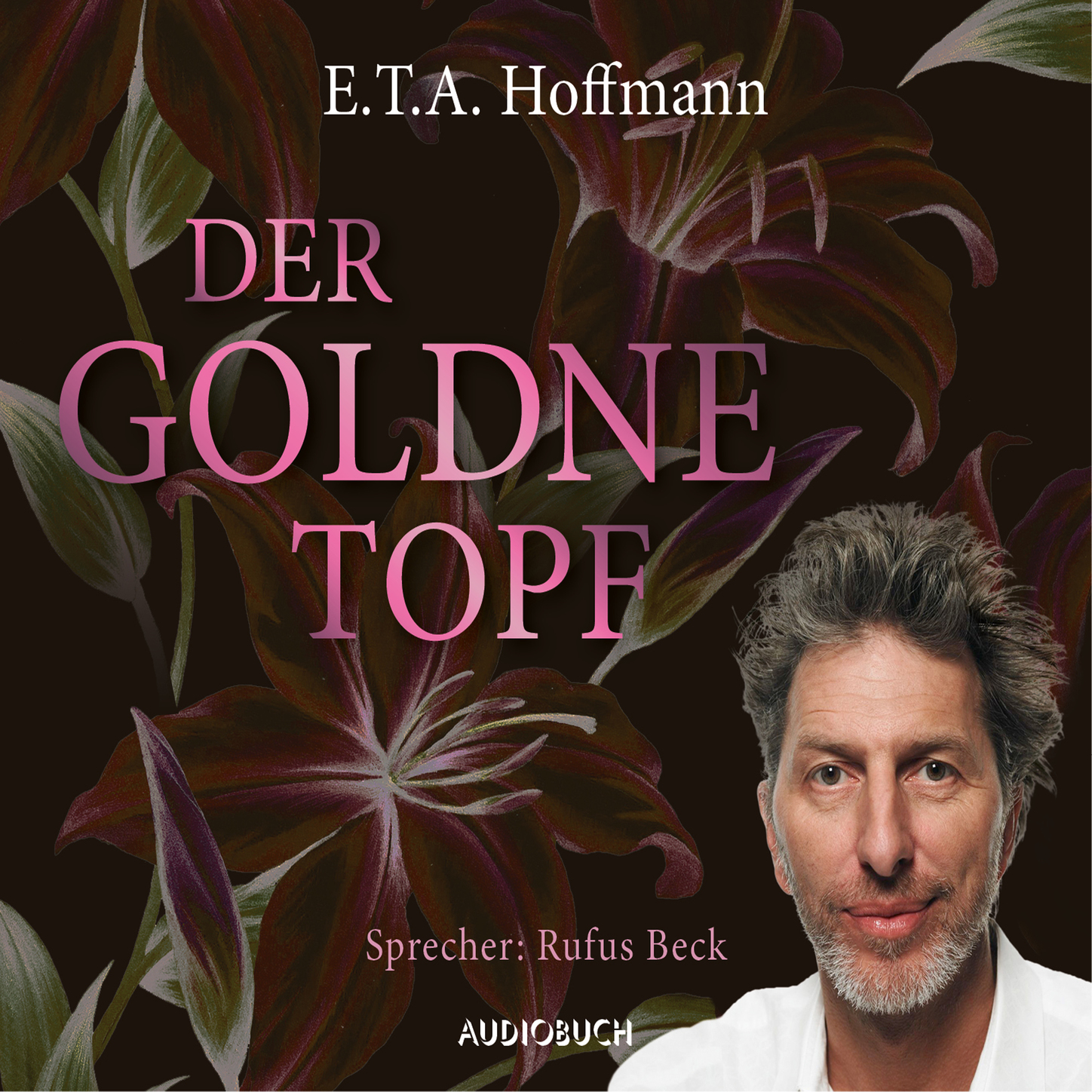 Скачать Der goldne Topf (Ungekürzt) - E.T.A. Hoffmann