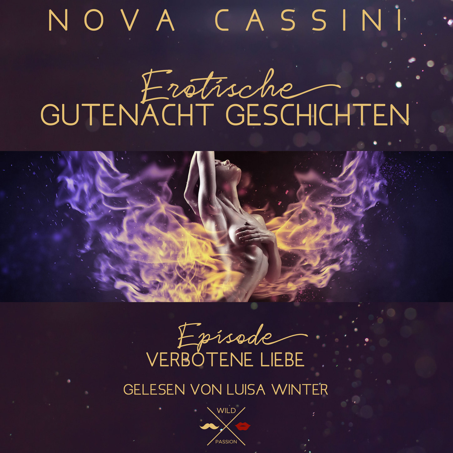 Скачать Verbotene Liebe - Erotische Gutenacht Geschichten, Band 5 (ungekürzt) - Nova Cassini