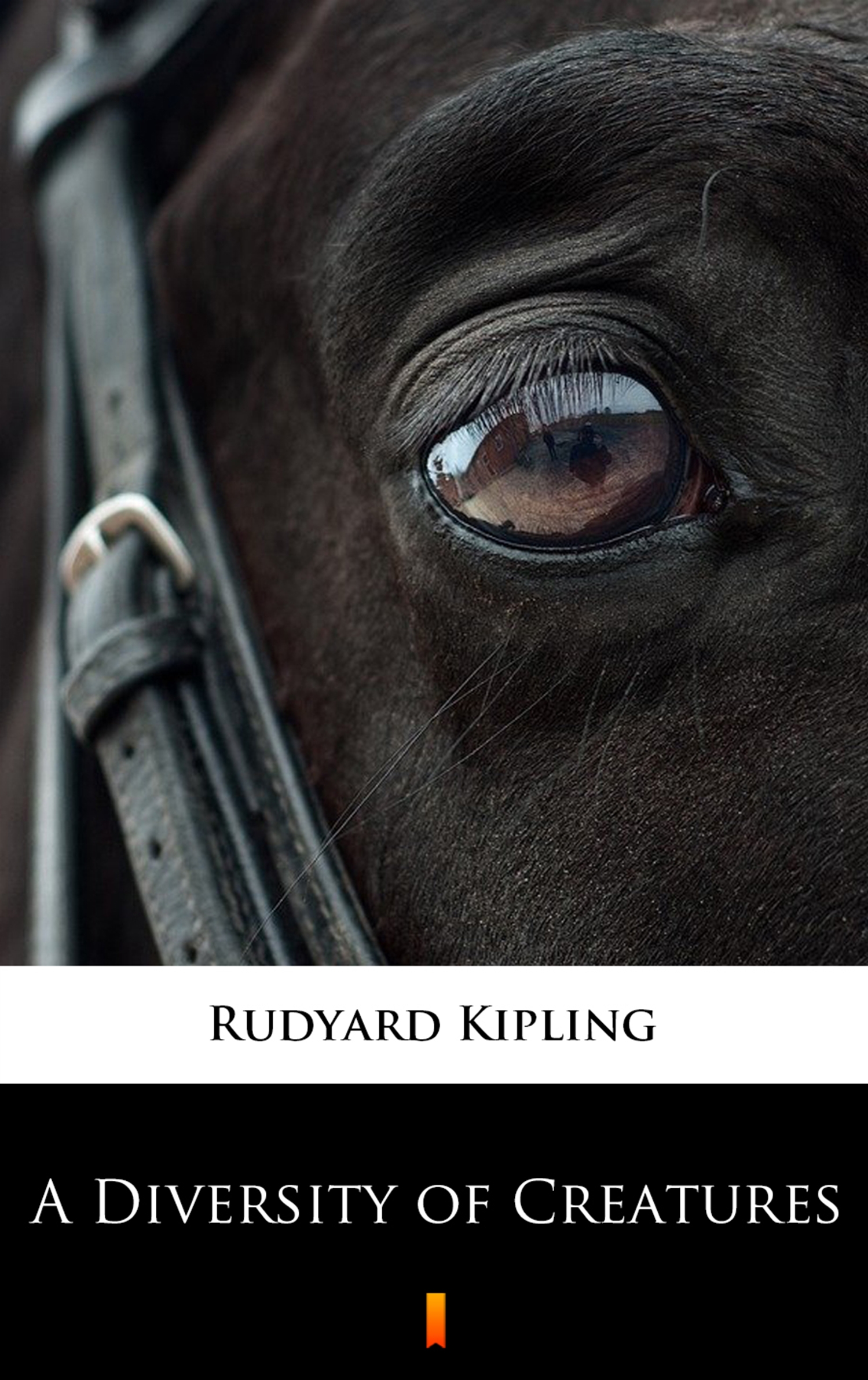 Скачать A Diversity of Creatures - Rudyard Kipling