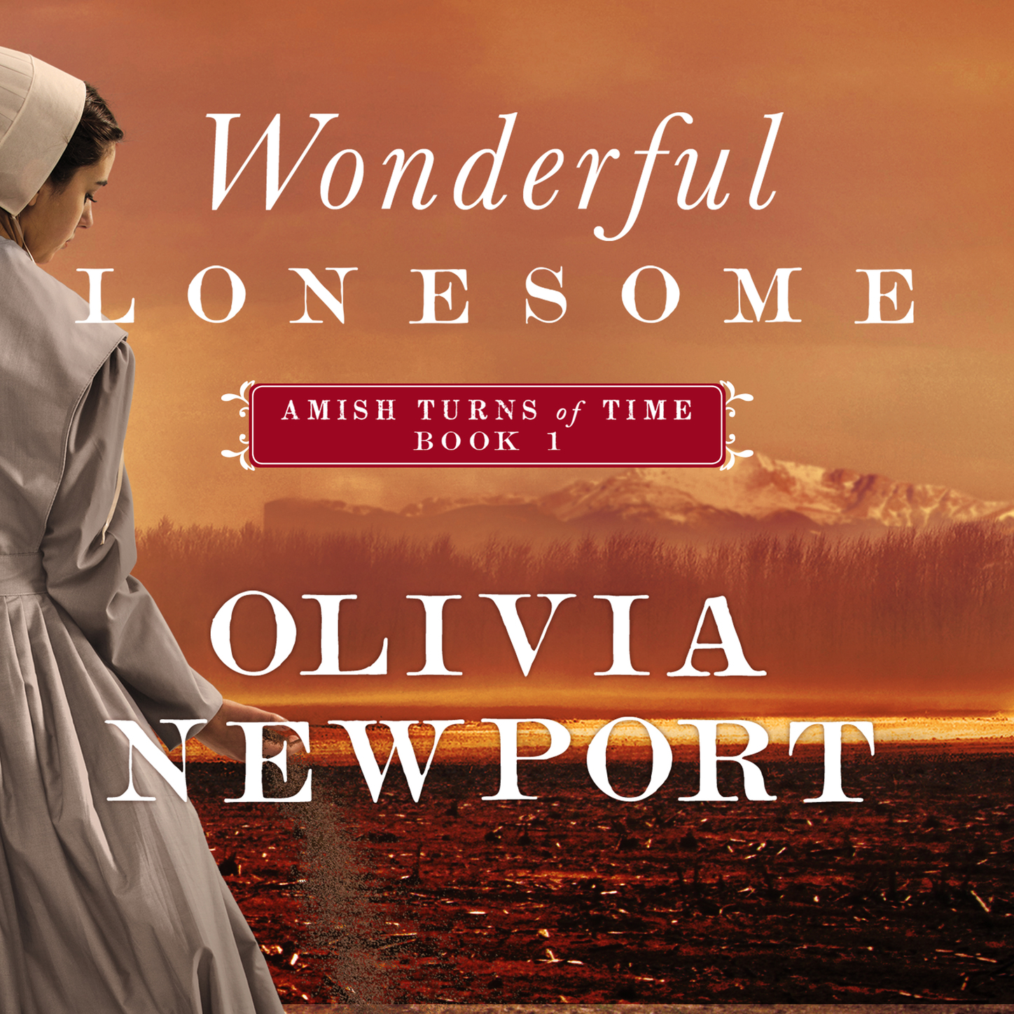 Скачать Wonderful Lonesome - Amish Turns of Time, Book 1 (Unabridged) - Olivia Newport