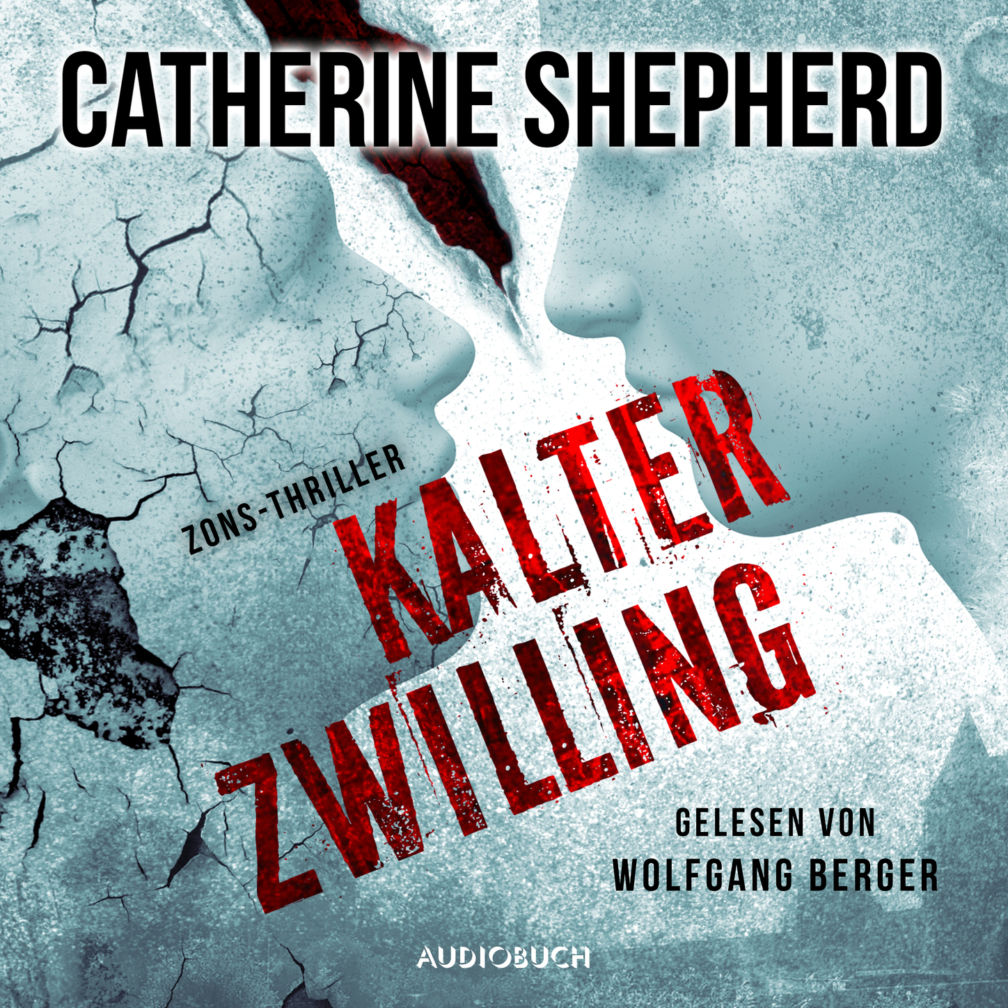Скачать Kalter Zwilling - Zons-Thriller 3 (Ungekürzt) - Catherine Shepherd