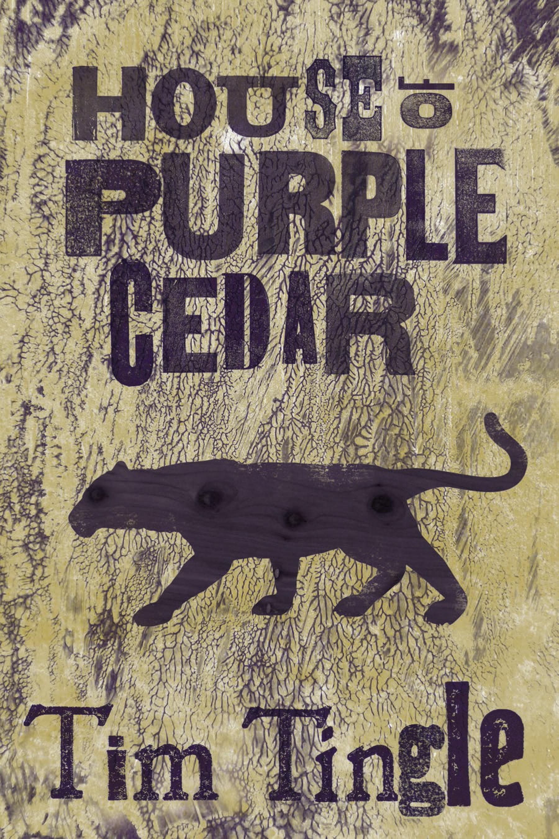 Скачать House of Purple Cedar - Tim  Tingle