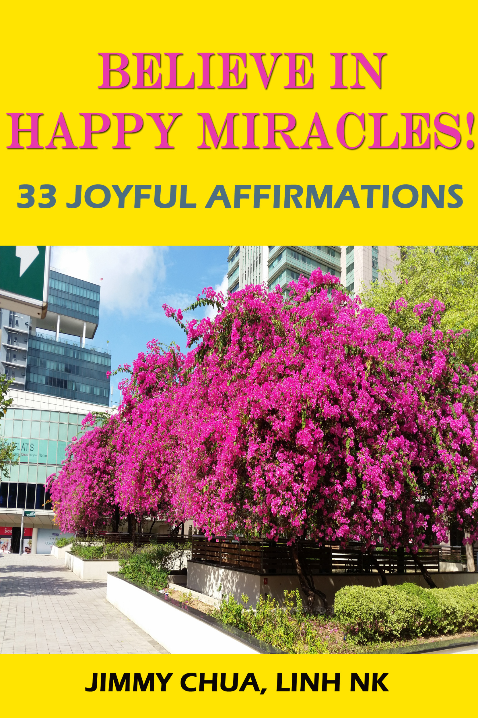 Скачать Believe In Happy Miracles - 33 Joyful Affirmations - Jimmy Chua