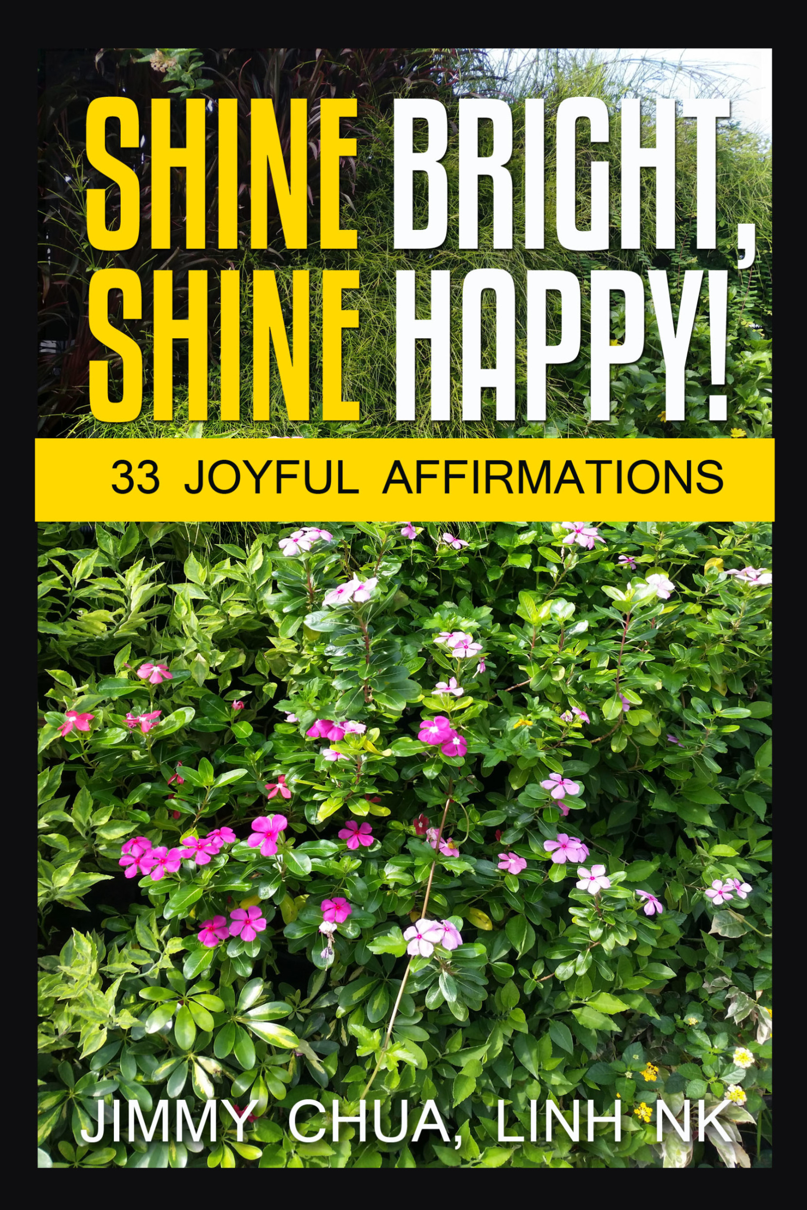 Скачать Shine Bright, Shine Happy! - Jimmy Chua