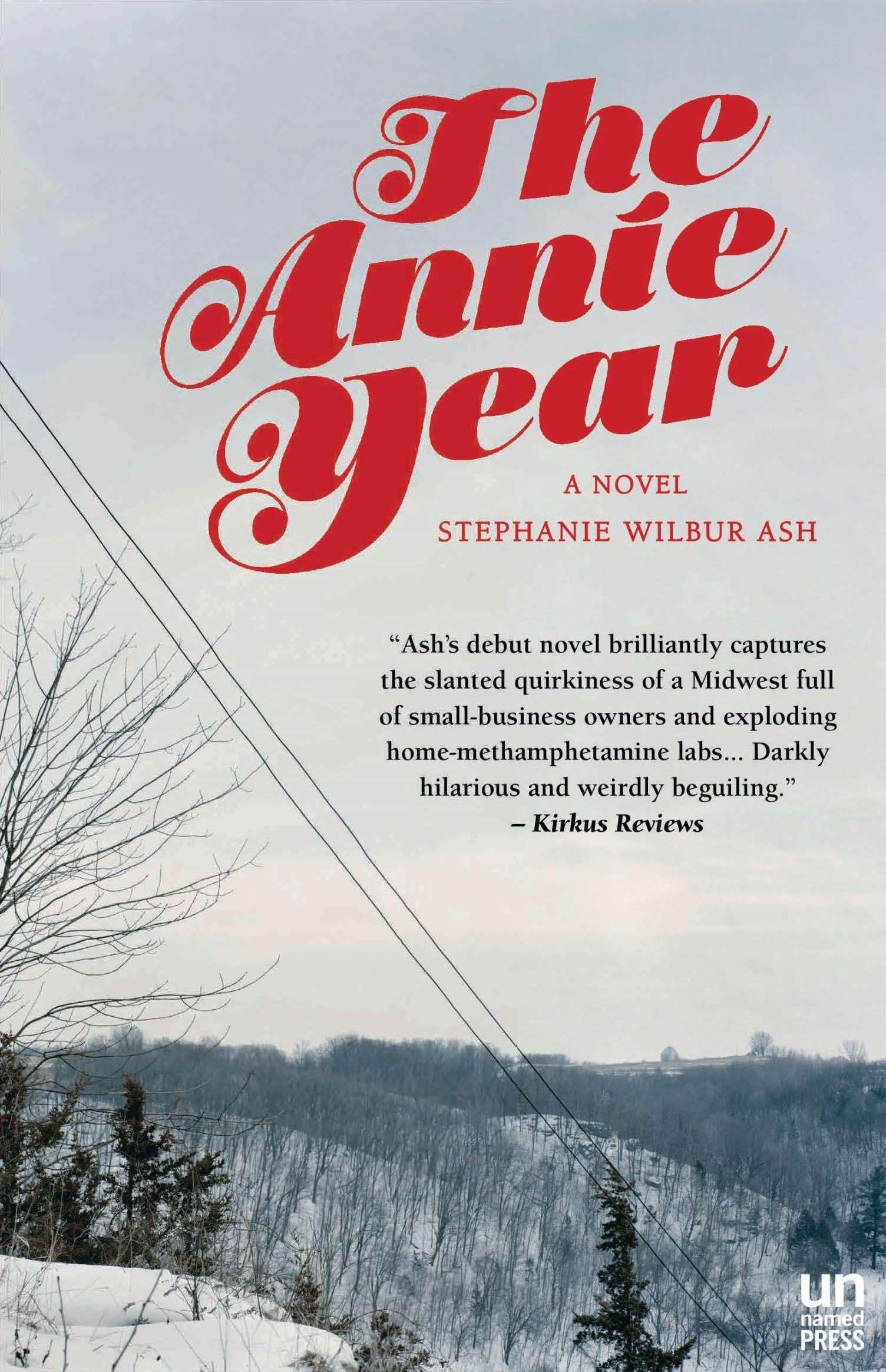 Скачать The Annie Year - Stephanie Wilbur Ash