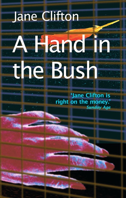 Скачать A Hand in the Bush - Jane Clifton