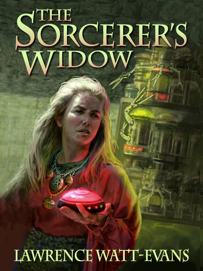 Скачать The Sorcerer's Widow - Lawrence  Watt-Evans