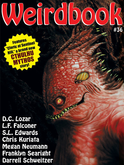 Скачать Weirdbook #36 - Darrell  Schweitzer