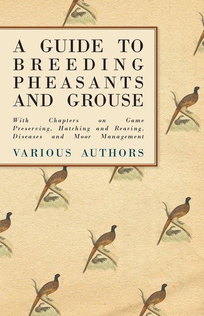 Скачать A Guide to Breeding Pheasants and Grouse - With Chapters on Game Preserving, Hatching and Rearing, Diseases and Moor Management - Various