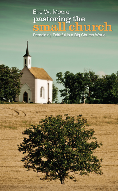 Скачать Pastoring the Small Church - Eric Moore
