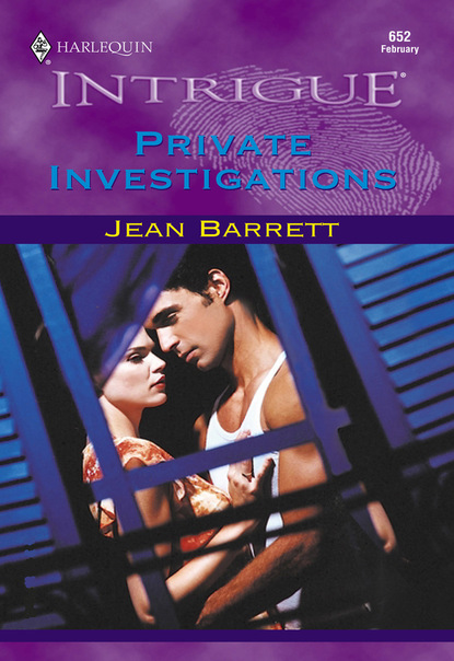 Скачать Private Investigations - Jean Barrett