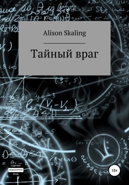 Скачать Тайный враг - Alison Skaling