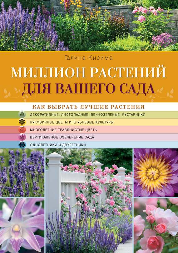 Скачать Миллион растений для вашего сада - Галина Кизима