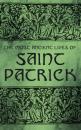 Скачать The Most Ancient Lives of Saint Patrick - Various