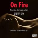 Скачать On Fire - Shadow Stalkers, Book 3 (Unabridged) - Sylvia Day