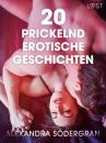 Скачать 20 prickelnd erotische Geschichten - Alexandra Södergran