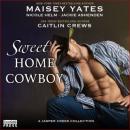Скачать Sweet Home Cowboy (Unabridged) - Maisey Yates