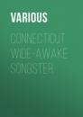 Скачать Connecticut Wide-Awake Songster - Various