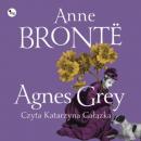 Скачать Agnes Grey - Anne Bronte