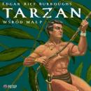 Скачать Tarzan wśród małp - Edgar Rice Burroughs