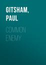 Скачать Common Enemy (DCI Warren Jones, Book 4) - Paul  Gitsham