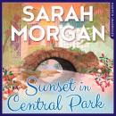 Скачать Sunset In Central Park - Сара Морган