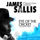 Скачать Eye of the Cricket - James  Sallis