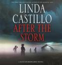 Скачать After the Storm - Linda  Castillo