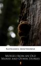 Скачать Mosses from an Old Manse and Other Stories - Hawthorne Nathaniel