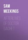 Скачать Afterlives of Doctor Gachet - Sam Meekings