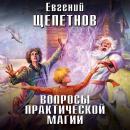 Скачать Вопросы практической магии - Евгений Щепетнов