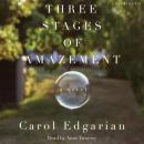 Скачать Three Stages of Amazement - Carol Edgarian