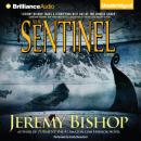 Скачать Sentinel - Jeremy Bishop
