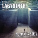 Скачать Mord in Serie, Folge 24: Labyrinth - Markus Topf