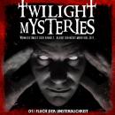 Скачать Twilight Mysteries, Folge 1: Fluch der Unsterblichkeit - Erik Albrodt